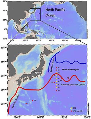 Picoeukaryotic Diversity And Activity in the Northwestern Pacific Ocean Based on rDNA and rRNA High-Throughput Sequencing